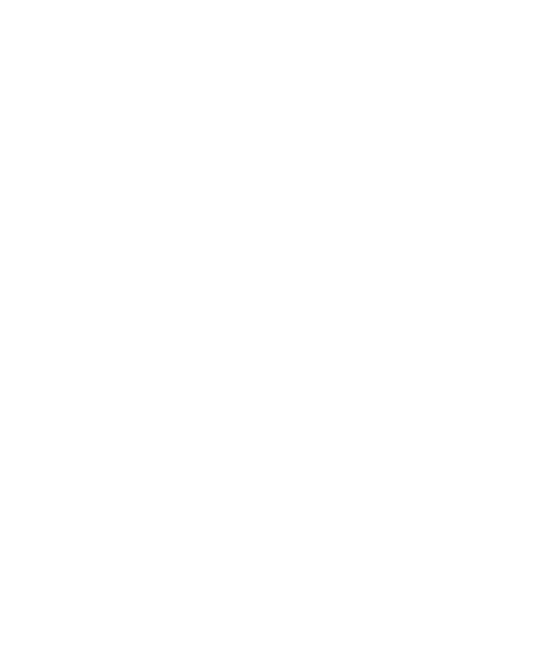 RZ Jewellery logo
